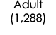 Adult (1,288)