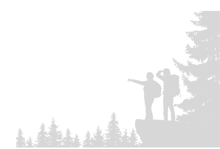 Realistic illustration of a silhouette of two tourists, men and women with backpacks. It stands on the bay in the mountains and looks into the valley of the forest. Vector