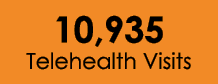 10,935 Telehealth Visits